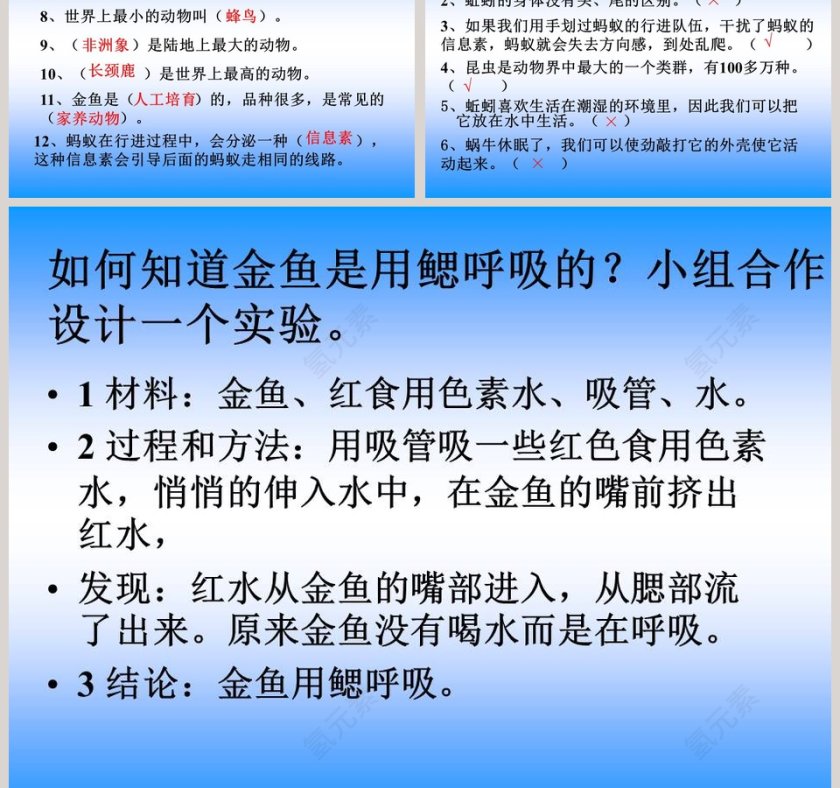 我们和动物有哪些相同和不同教学ppt课件第5张