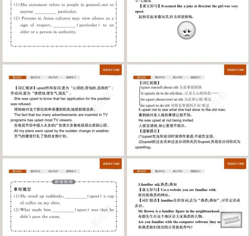 Section D-Reading for Writing  Assessing Your Progress教学ppt课件第3张