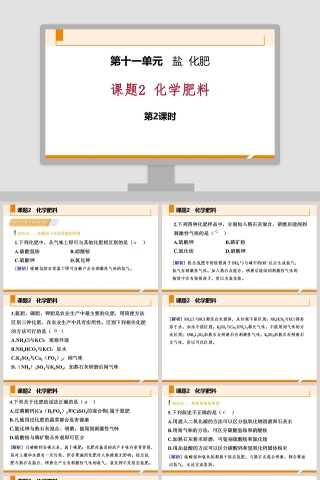 第十一单元-盐  化肥教学ppt课件
