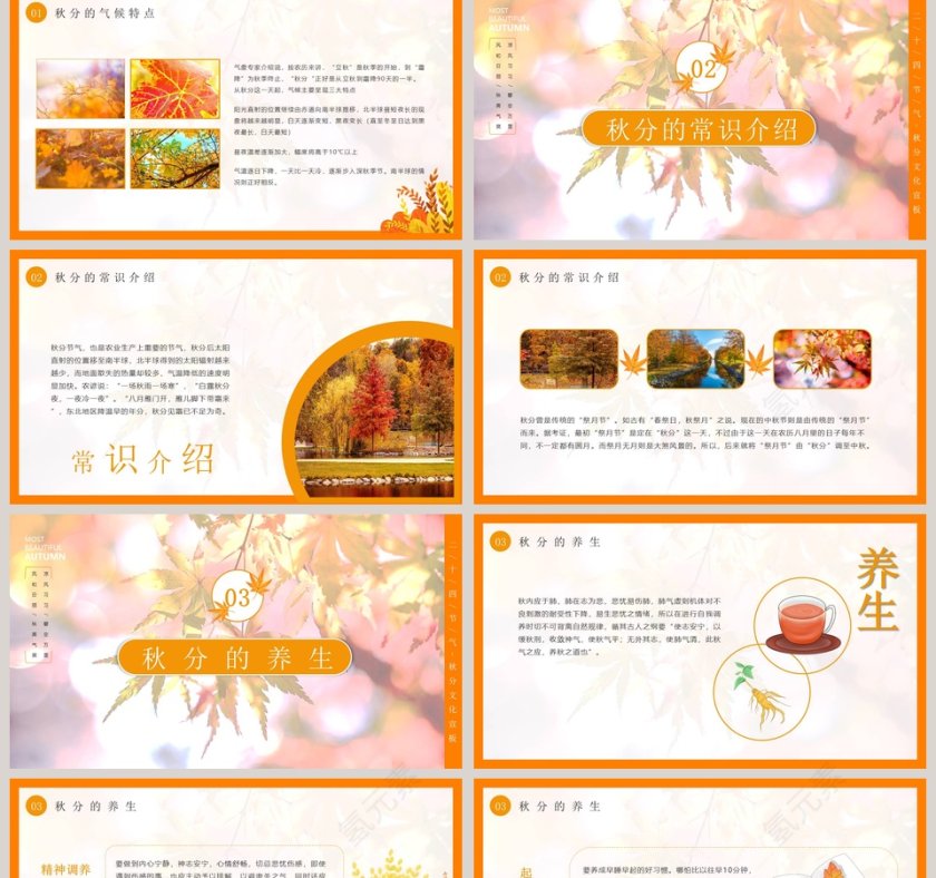  2019中小学生二十四节气之秋分主题班会PPT模板第2张