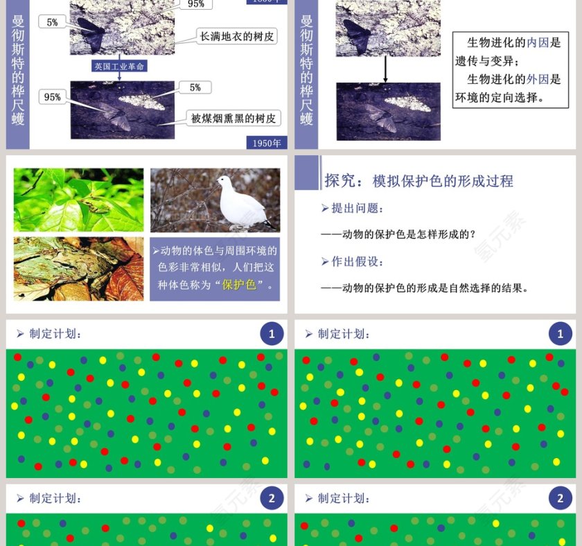 生-物进化的原因教学ppt课件第2张