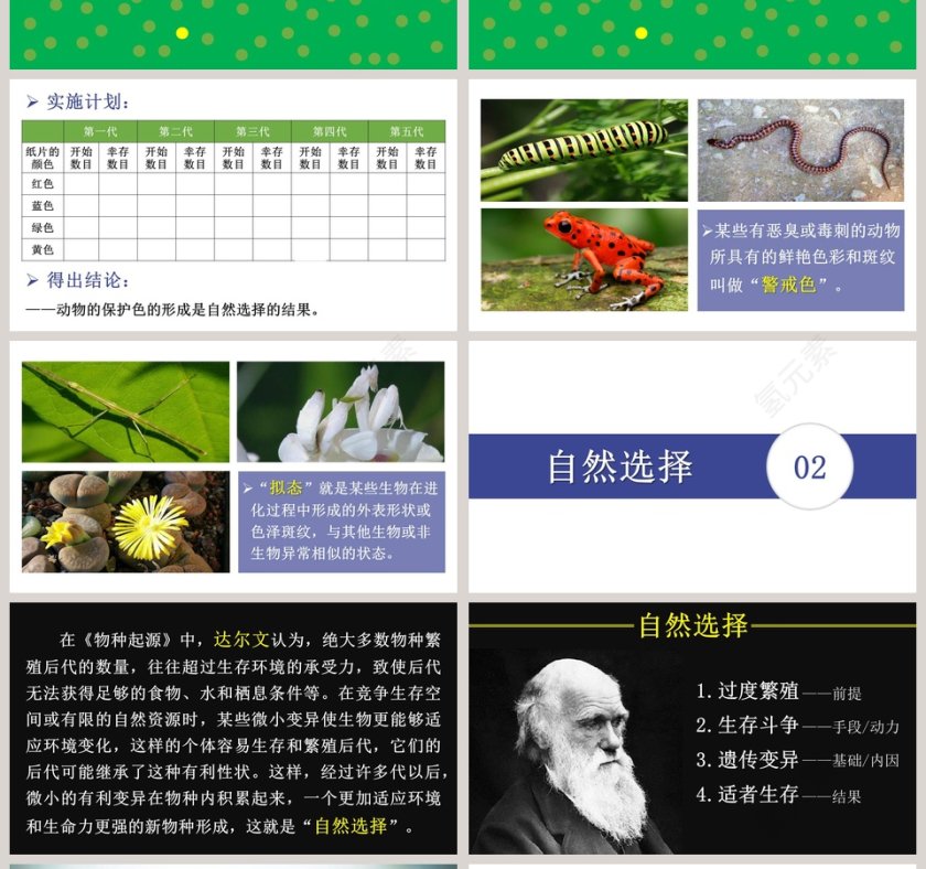 生-物进化的原因教学ppt课件第4张