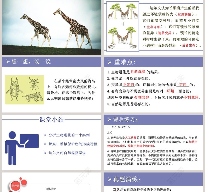 生-物进化的原因教学ppt课件第5张