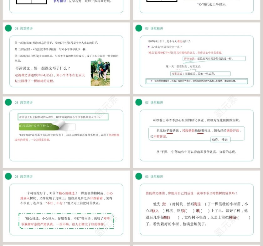 部编版二年级语文下册邓小平爷爷植树语文课件PPT第4张