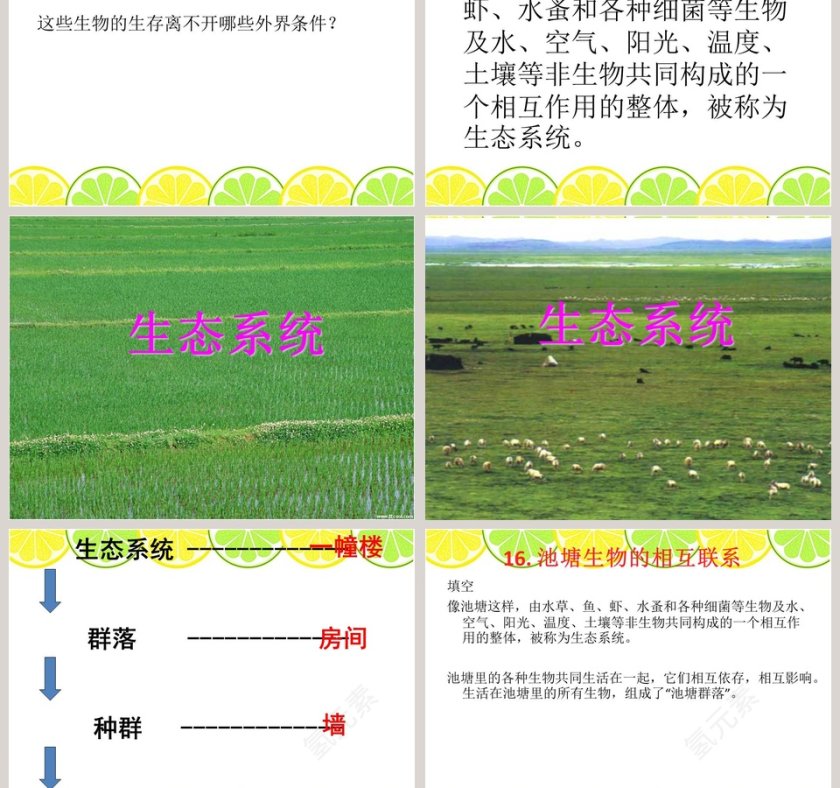 16-池塘生物的相互联系教学ppt课件第3张