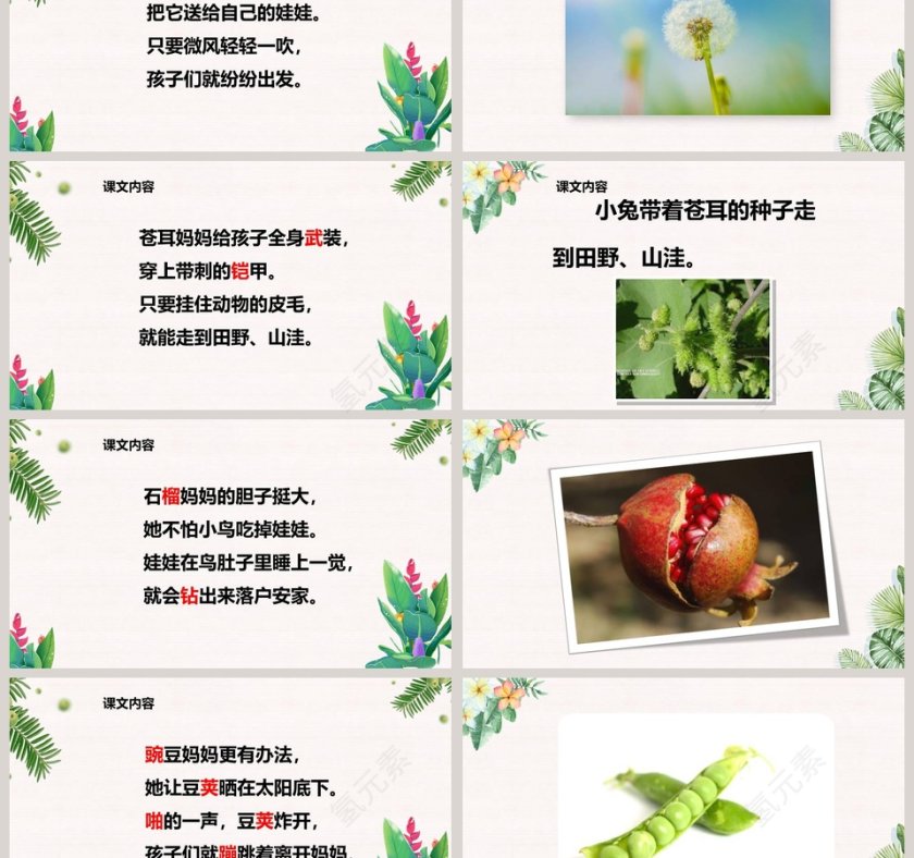 植物妈妈有办法语文PPT课件第3张