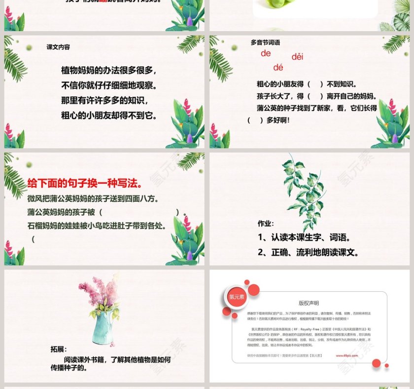 植物妈妈有办法语文PPT课件第4张