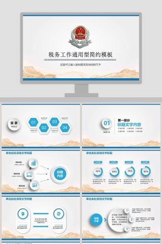 税务工作通用型简约模板
