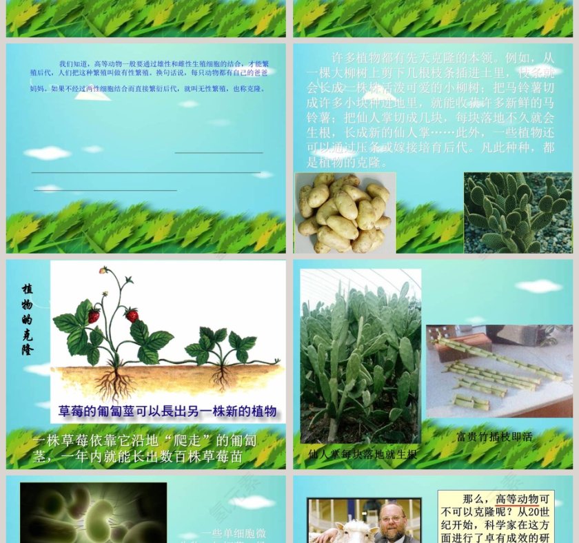 科技发展话克隆教学ppt课件第2张