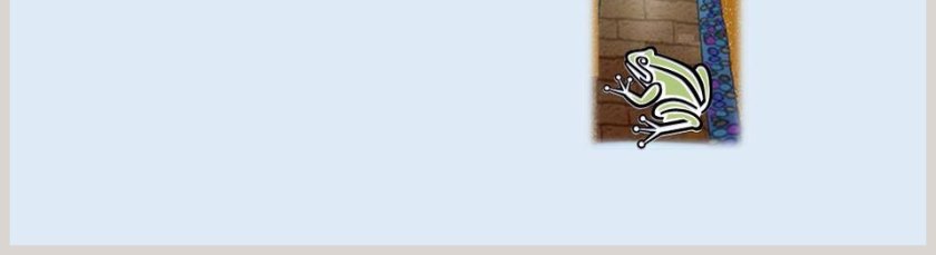 人教版小学语文二年级坐井观天语文课件PPT第5张