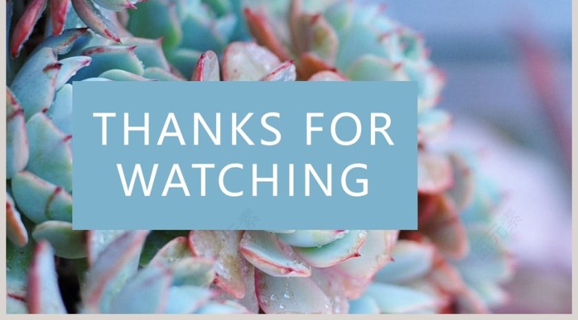 小清新欧美风通用型模板PPT第5张