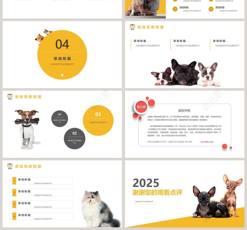黄色20xx年宠物萌宠行业PPT模板第4张