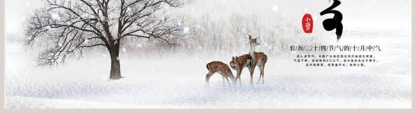 小雪主题班会ppt第5张