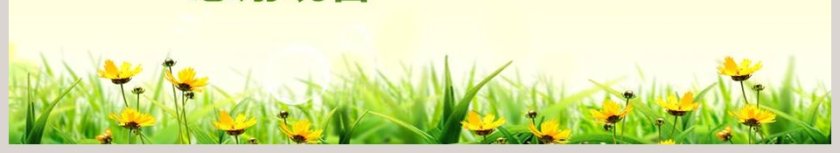 珍爱生命远离毒品禁毒宣传教育PPT模板第6张