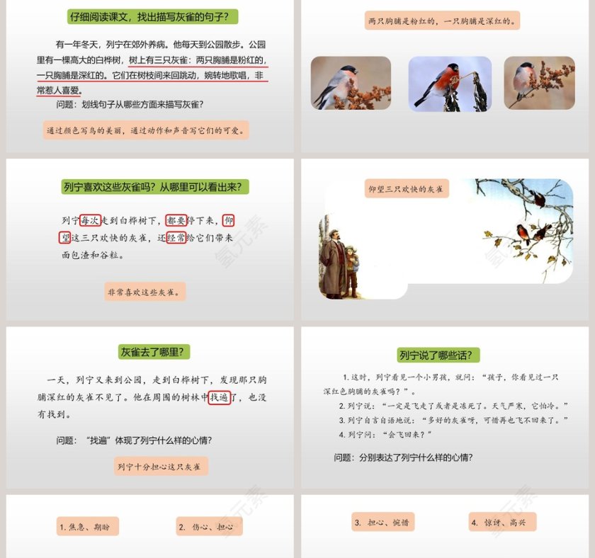 课文解析灰雀语文课件PPT第2张