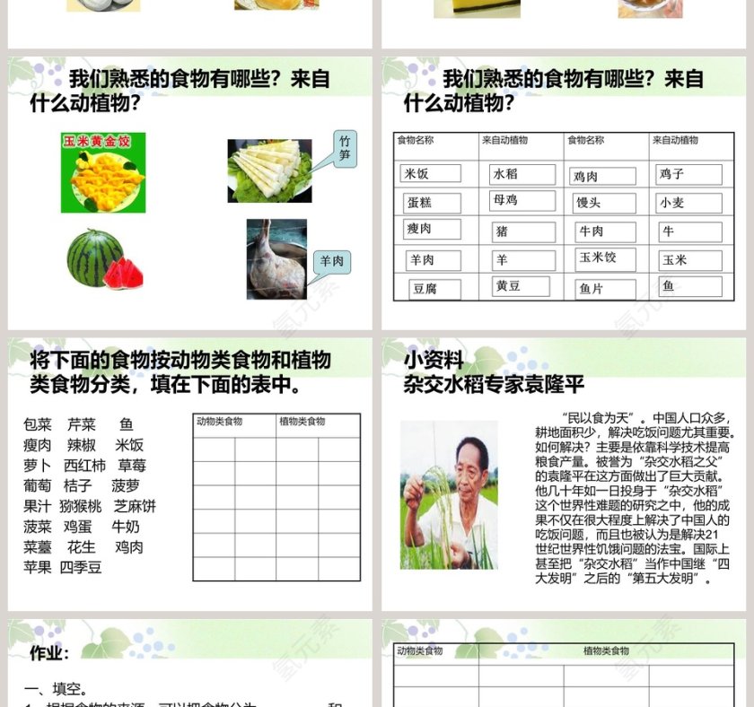食物从哪里来-鄂教版三年级科学上册课件教学ppt课件第2张