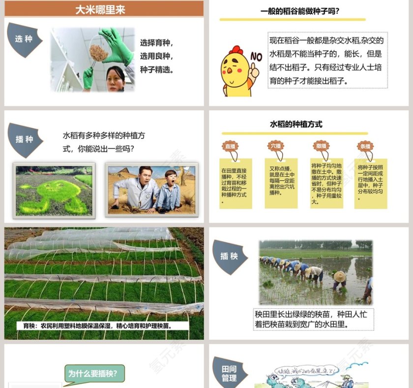 第七课  我们的衣食之源-第教学ppt课件第2张