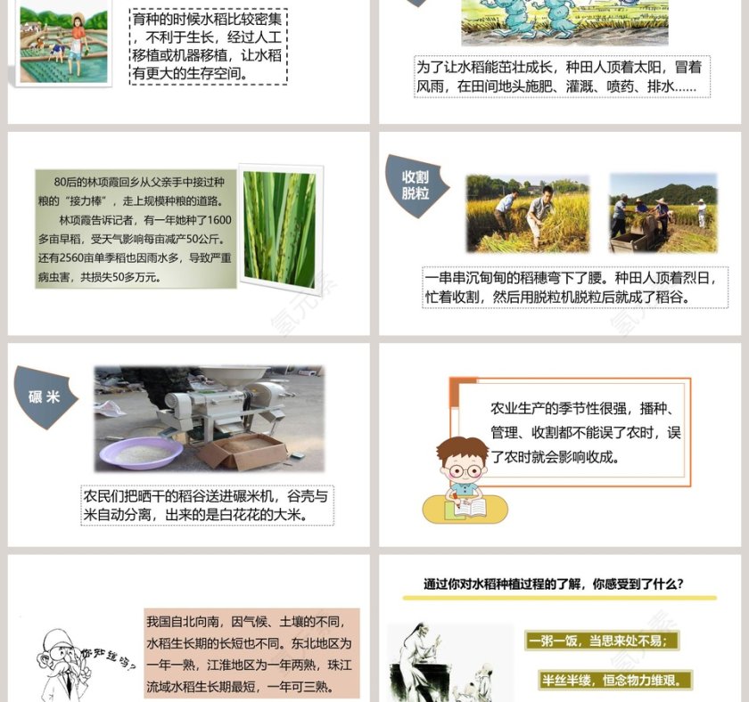 第七课  我们的衣食之源-第教学ppt课件第3张