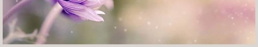 部编版四年级语文下册巨人的花园语文课件PPT第6张