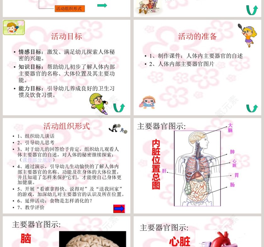 幼儿园大班科学PPT课件：大班科学第2张