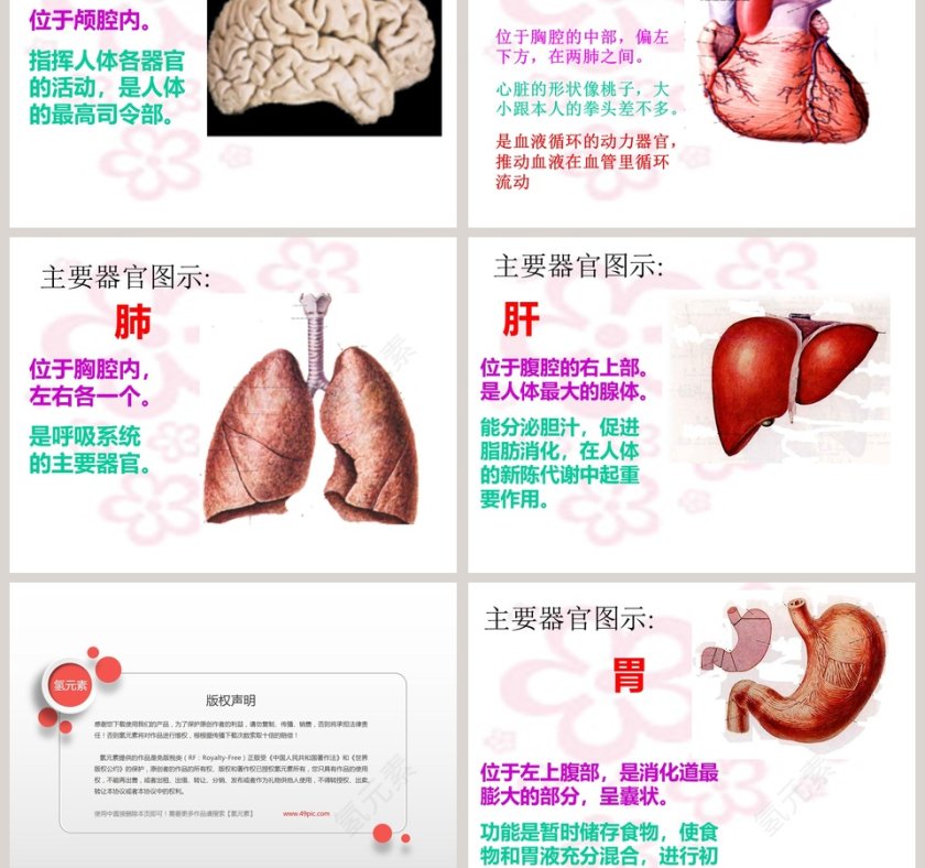 幼儿园大班科学PPT课件：大班科学第3张