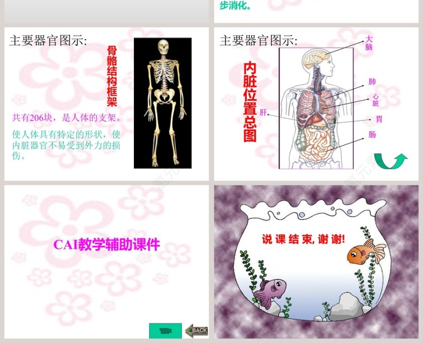 幼儿园大班科学PPT课件：大班科学第4张