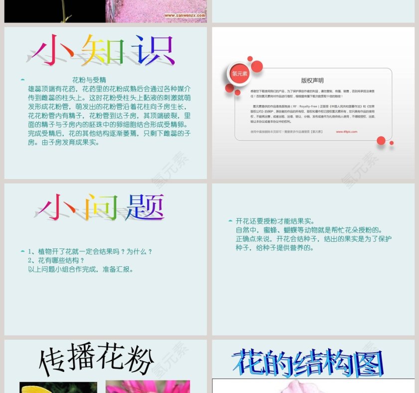 花开花落为哪般ppt模板第4张