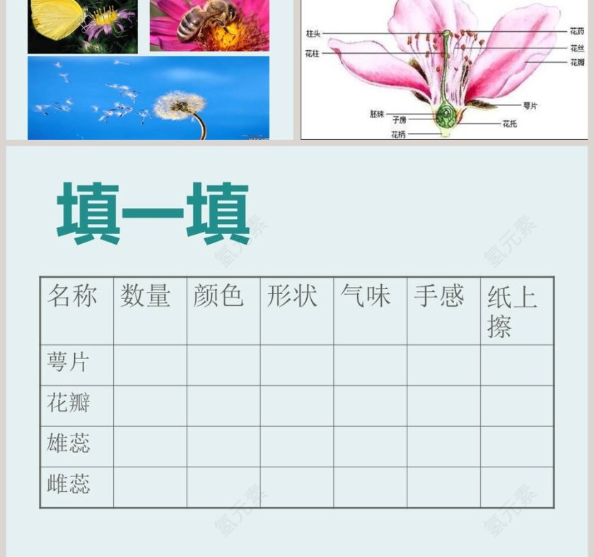 花开花落为哪般ppt模板第5张