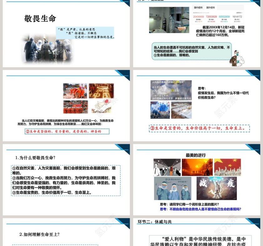 第四单元  生命的思考-第八课  探问生命教学ppt课件第2张