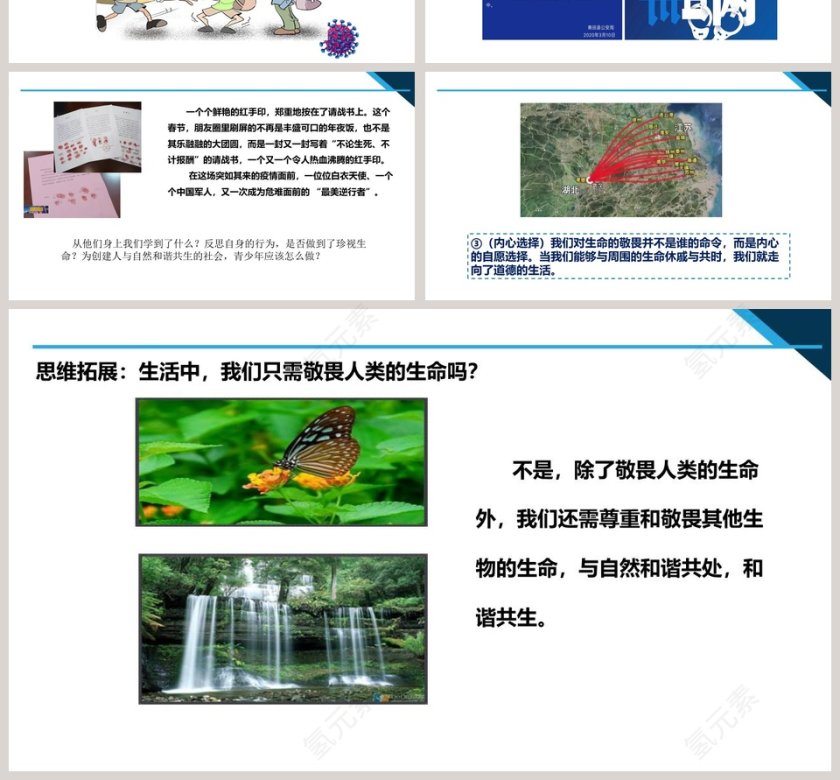 第四单元  生命的思考-第八课  探问生命教学ppt课件第4张