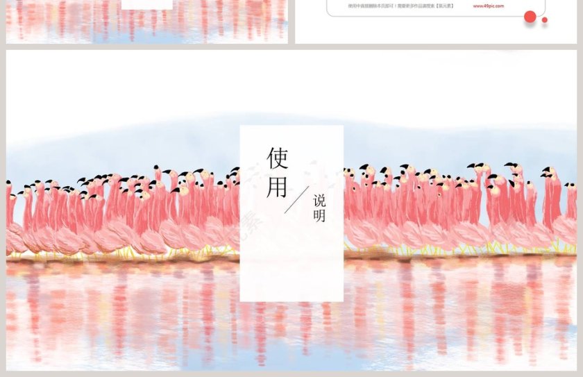 火烈鸟主题PPT第4张