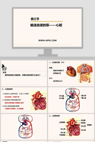 第三节-输送血液的泵教学ppt课件