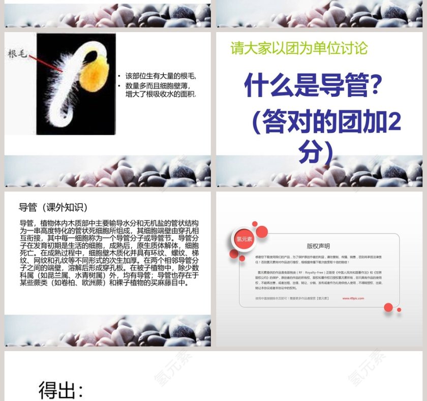 植物怎样吸收和运输水教学ppt课件第2张