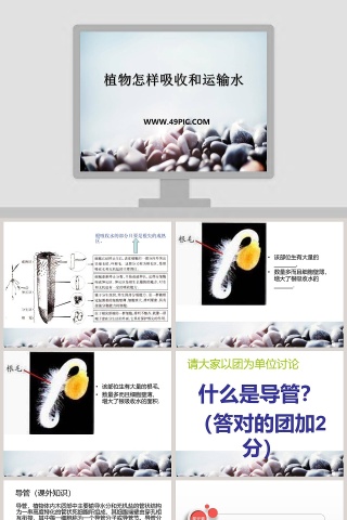 植物怎样吸收和运输水教学ppt课件