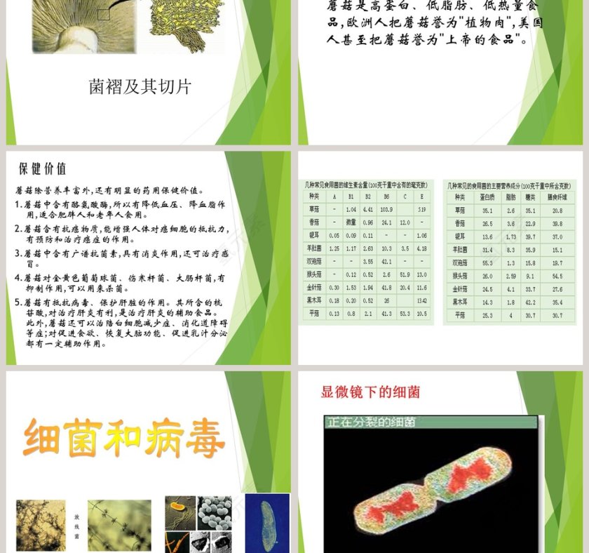 鄂教版五年级科学上册-蘑  菇教学ppt课件第3张