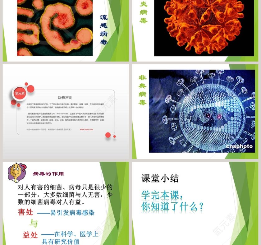 鄂教版五年级科学上册-蘑  菇教学ppt课件第5张