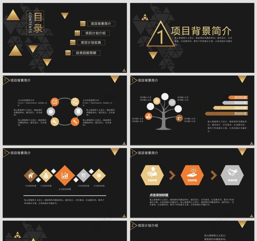 完整框架商业项目融资计划书PPT第2张