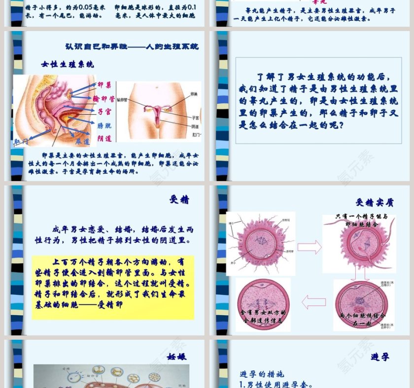 第-1教学ppt课件第2张