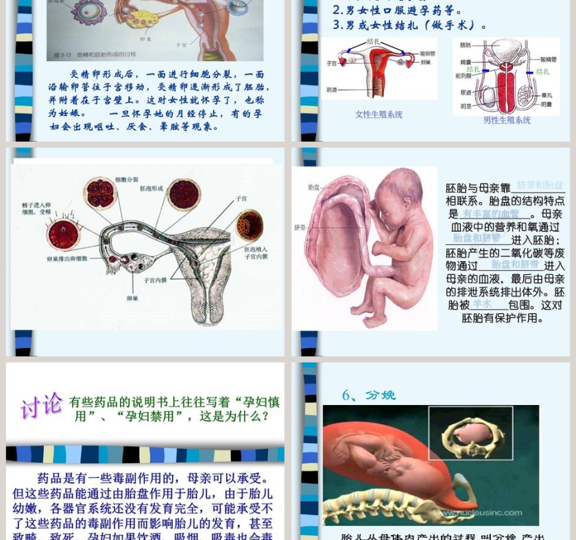 第-1教学ppt课件第3张