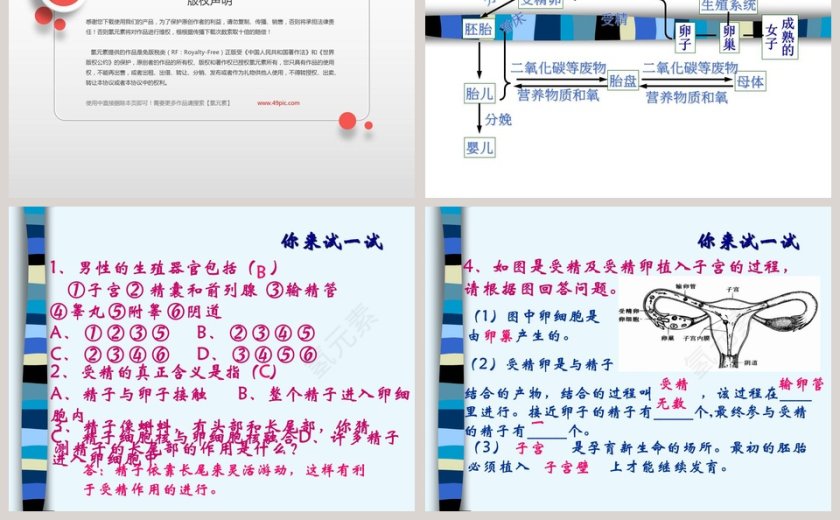 第-1教学ppt课件第5张