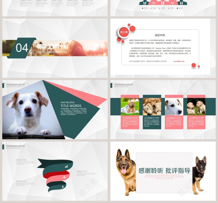 宠物医院工作汇报PPT模板第4张