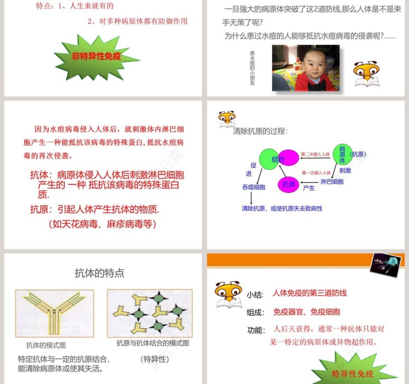 第-13教学ppt课件第5张