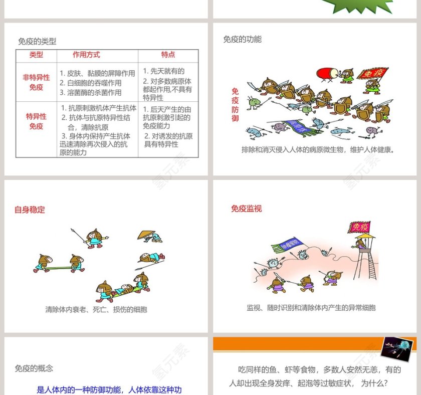 第-13教学ppt课件第6张