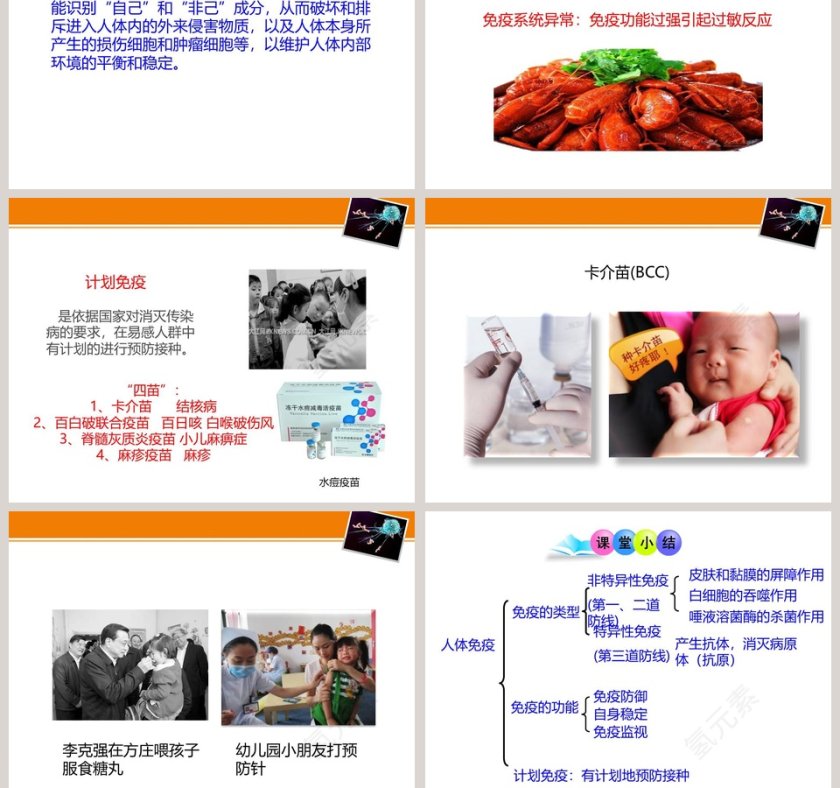 第-13教学ppt课件第7张