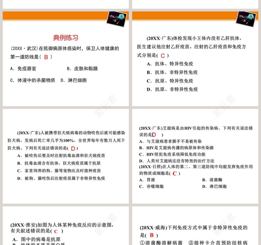 第-13教学ppt课件第8张