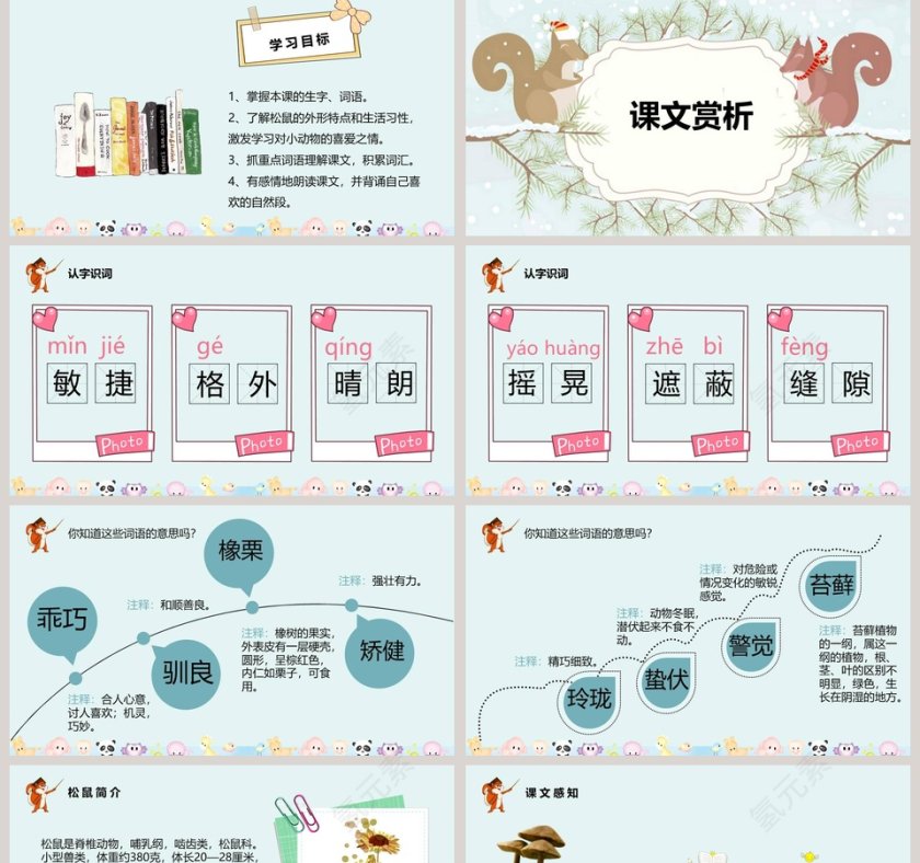 课文解析松鼠语文课件PPT第2张
