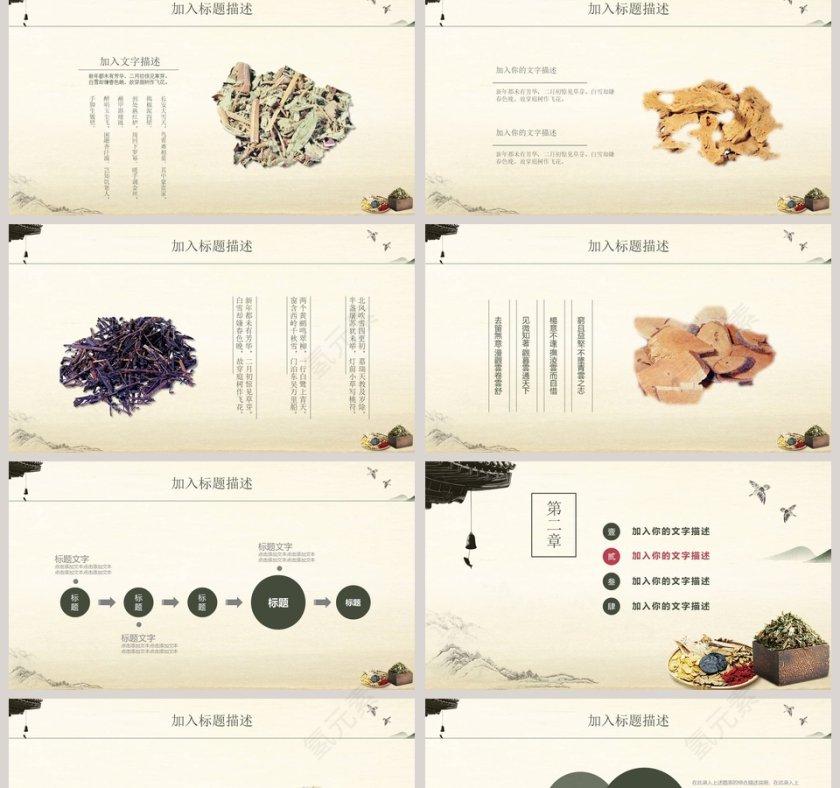 中医养生文化PPT第2张