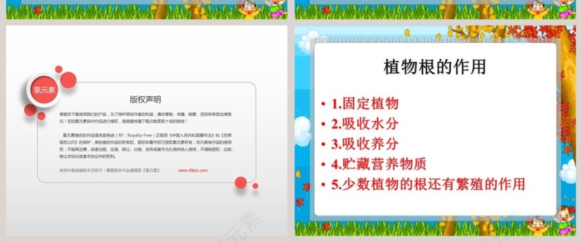 青岛版六年制 四年级科学上册-植物的根教学ppt课件第8张