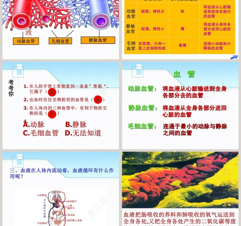 青岛版五年级科学上册-心脏和血管教学ppt课件第3张