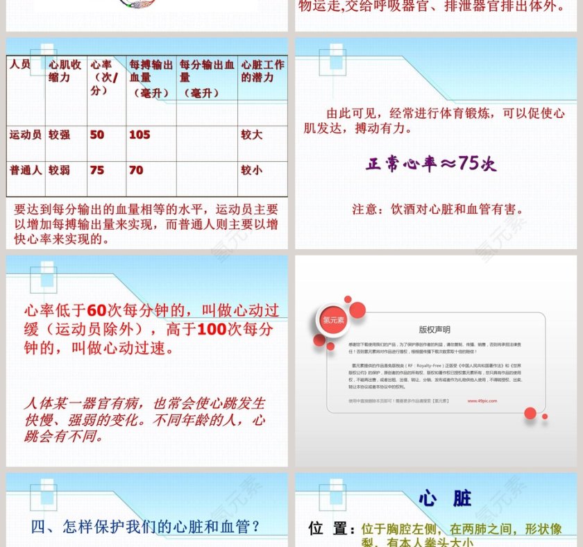 青岛版五年级科学上册-心脏和血管教学ppt课件第4张